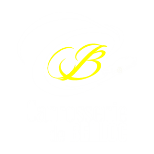 Garagiste Caslteljaloux Carrosserie Casteljaloux Peinture voiture casteljaloux - Carrosserie de Belloc - Logo blanc